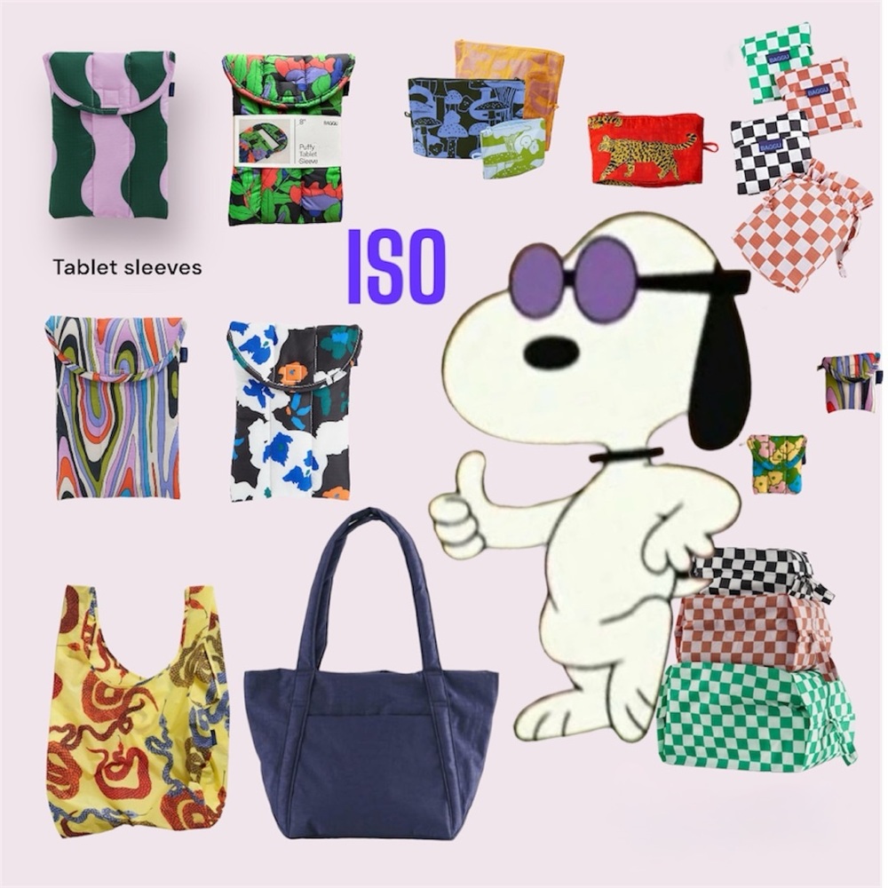 ISO baggu items